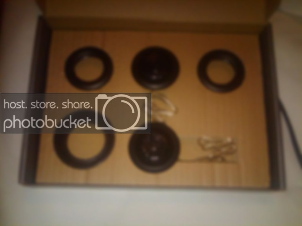 IMG00229-20100921-1928.jpg