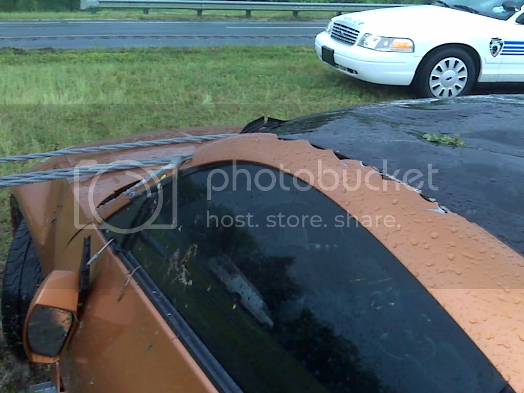 IMG00323.jpg