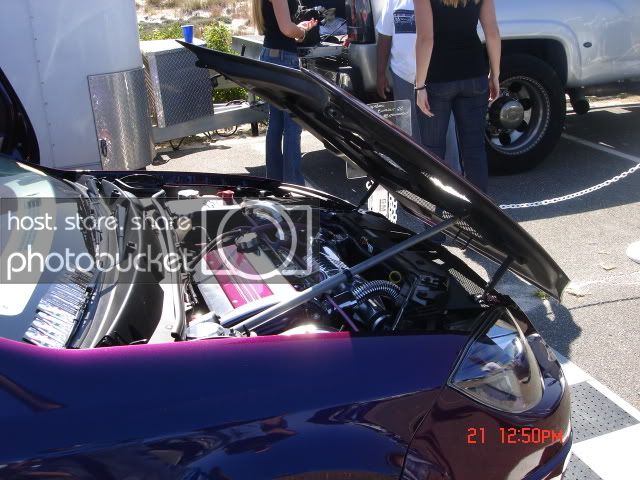 Picture2824.jpg