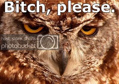 owl_bp.jpg