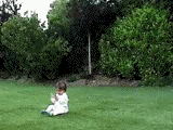 post-5-1.gif