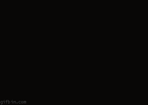 1253886074_ninja-cat.gif