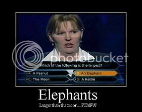 11659713051_elephants2.jpg