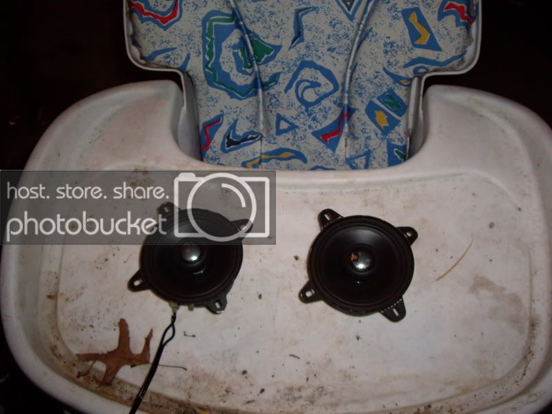 IMGP0130.jpg