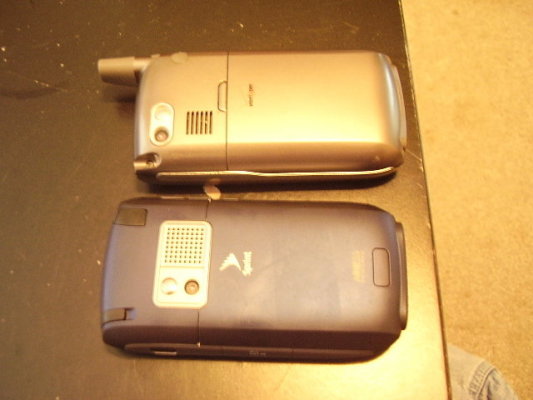 338710533.jpg
