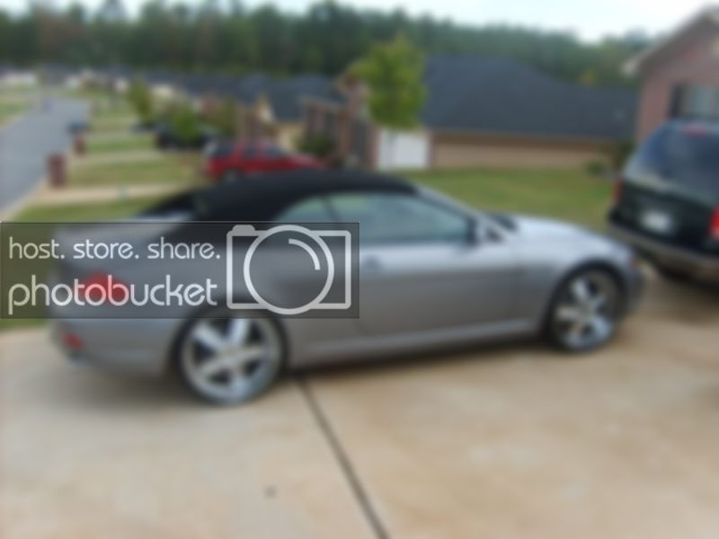 S5001660.jpg