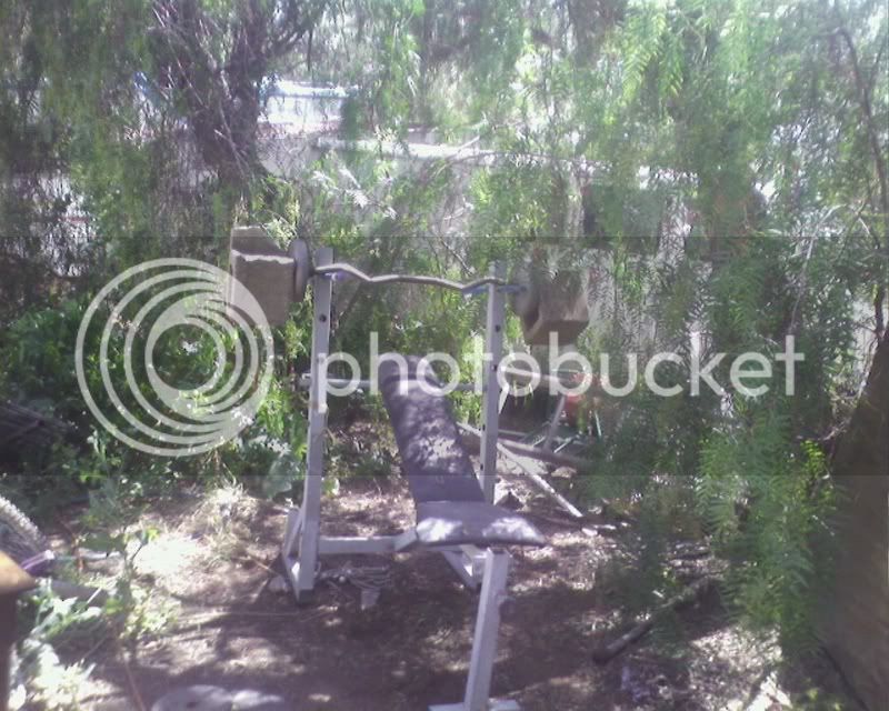 bench3.jpg