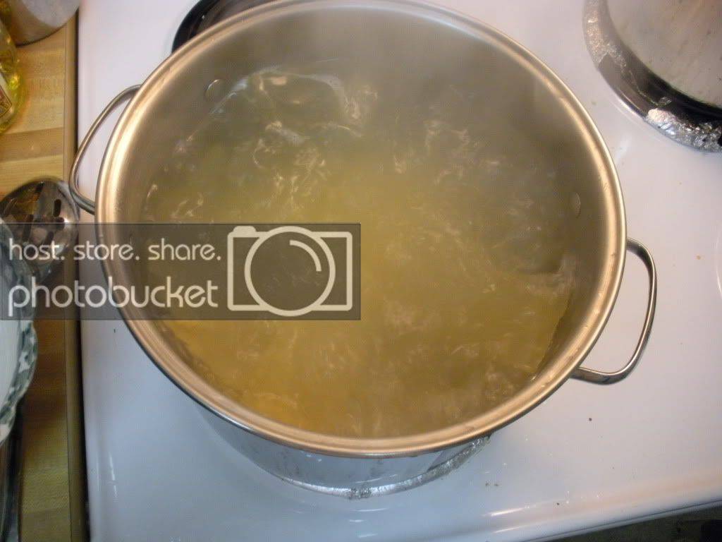 DSCN0247.jpg