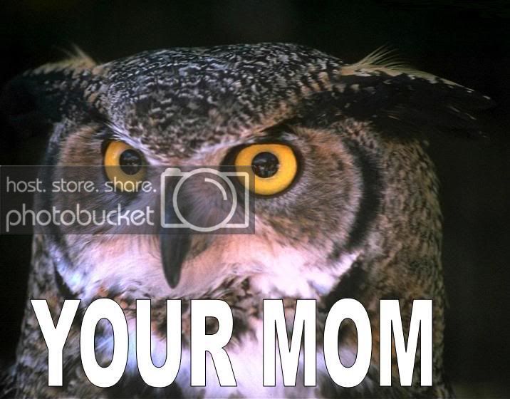 yourmomowl-1.jpg
