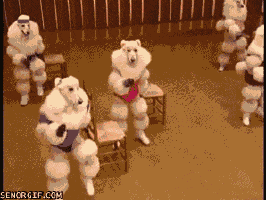 200.gif