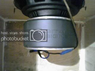 IMG00285.jpg