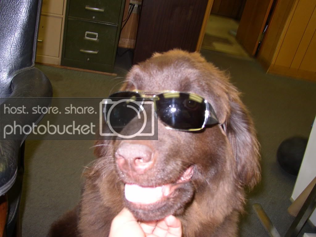 Reba003.jpg