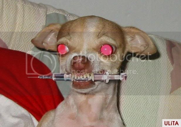 demonchawawa.jpg