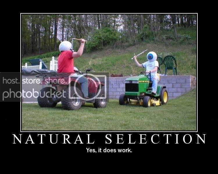 Natural.Selection.jpg