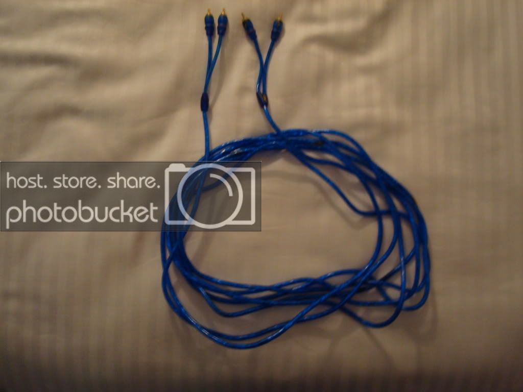 DSC00768.jpg
