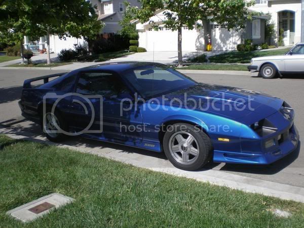 mymaro.jpg