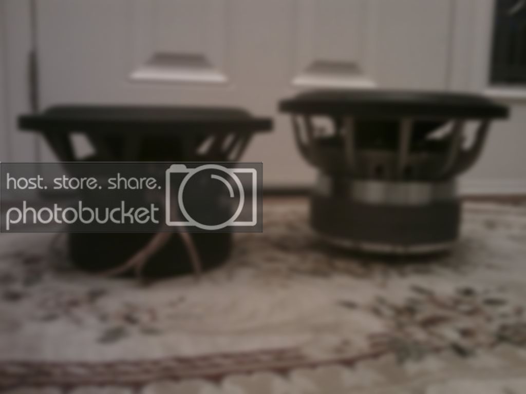 IMAG0050.jpg