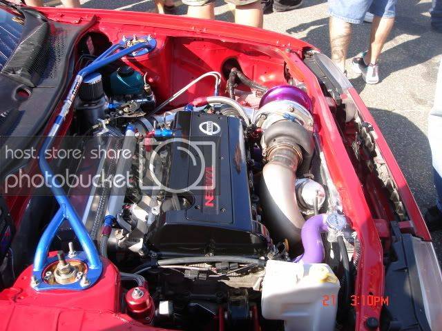 Picture3087.jpg
