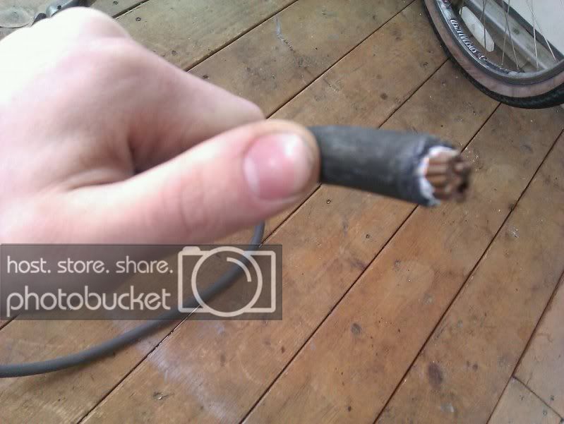 wire1.jpg