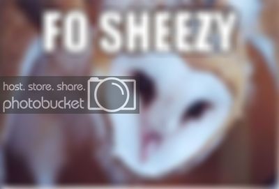 sheezy.jpg