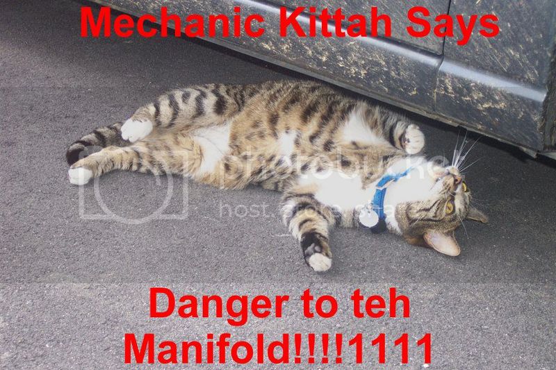 mechaniccat.jpg