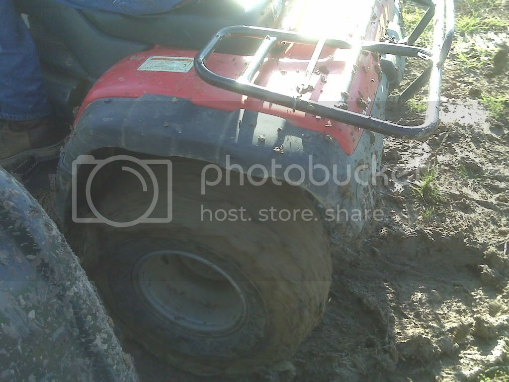 IMG00152.jpg
