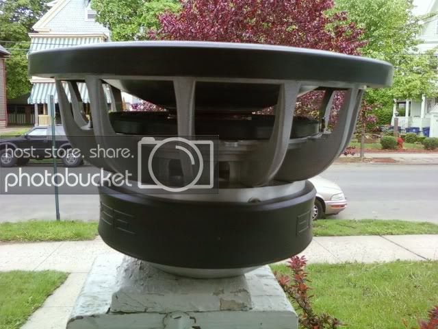 5-17-09003.jpg