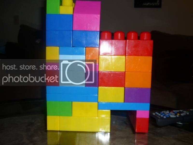 P1020563.jpg