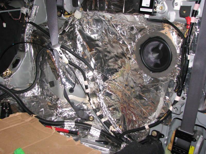 SciontC_rearcavity011.jpg