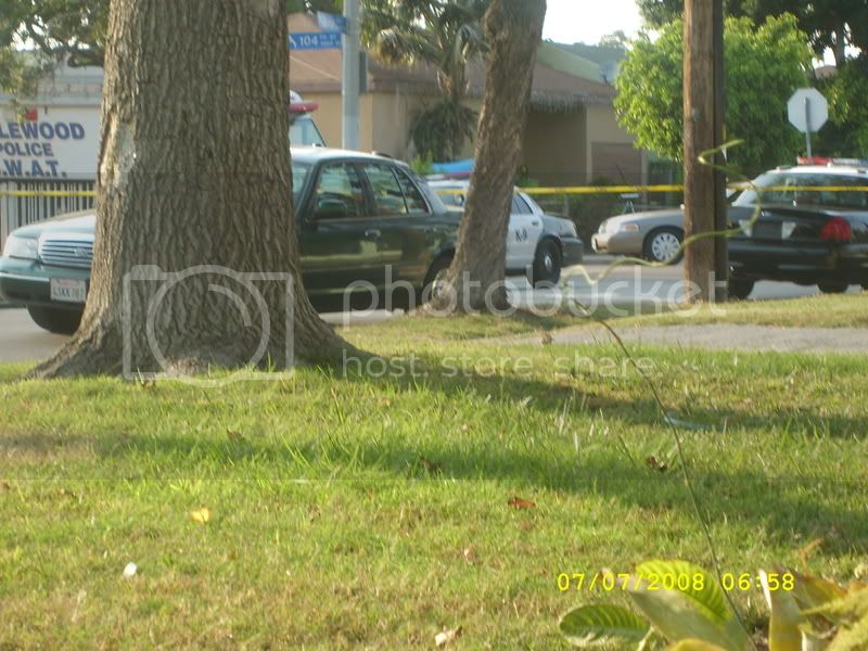 SL270832.jpg