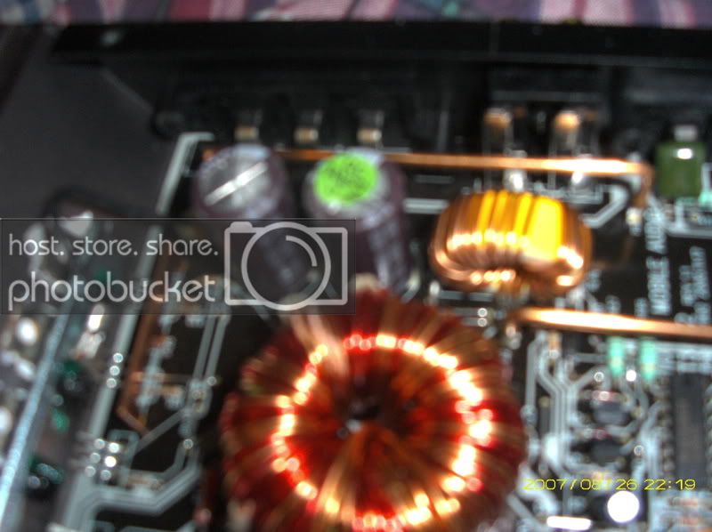 MYDC0055.jpg