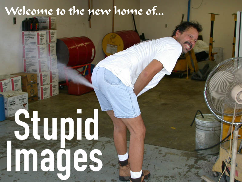 stupid_images.jpg