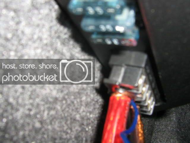 amp028.jpg