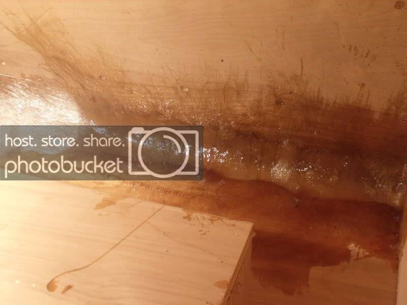 DSCF9698.jpg