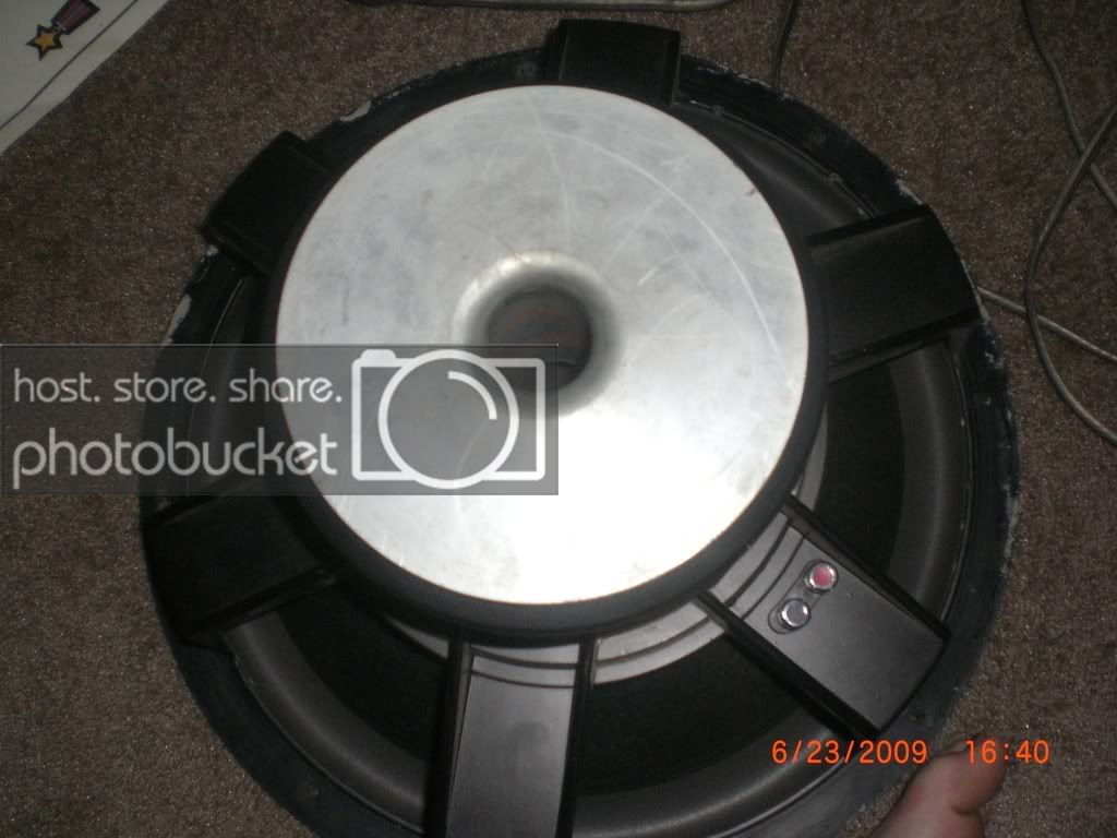 CIMG5384.jpg