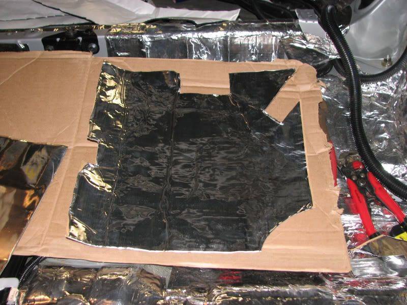 SciontC_rearcavity009.jpg