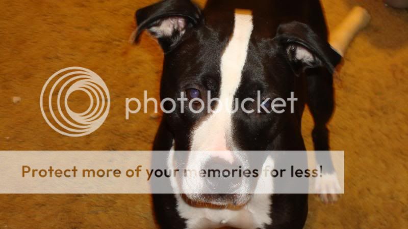 newcamera005.jpg