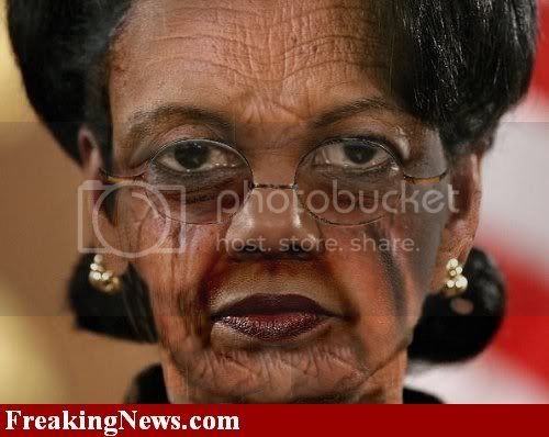Condi--8983.jpg