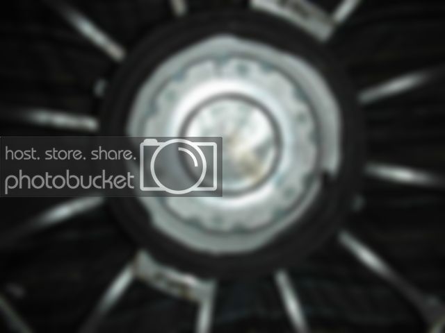 DSCN1019.jpg