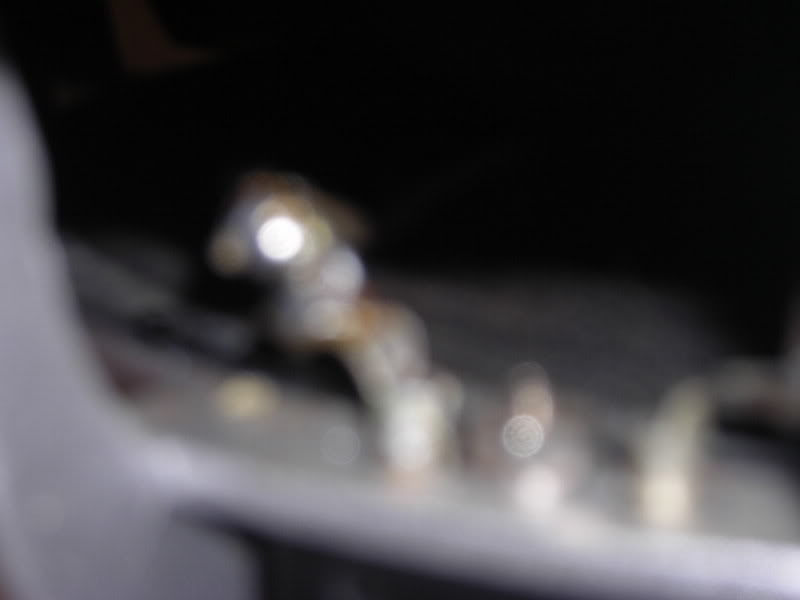 DSCN8680.jpg