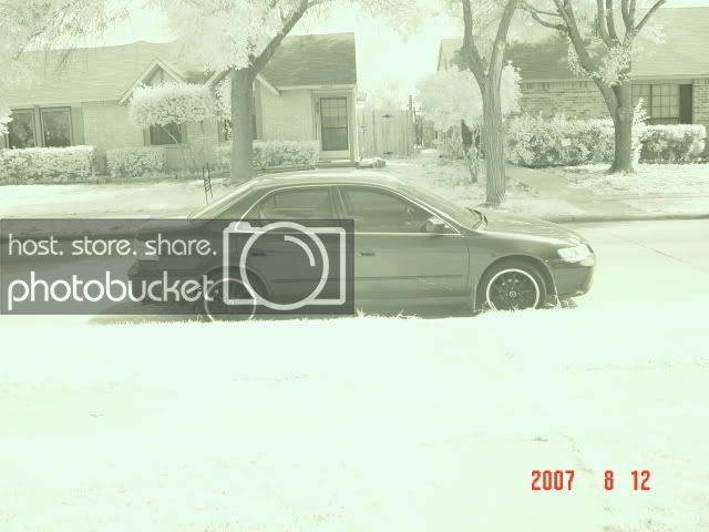 DSC00256.jpg
