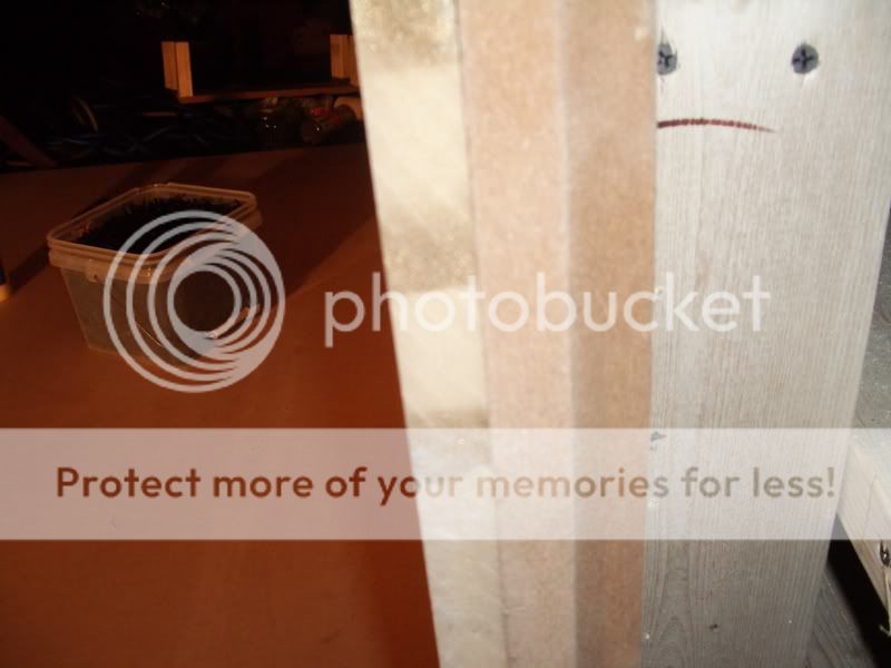 IMGP1230.jpg