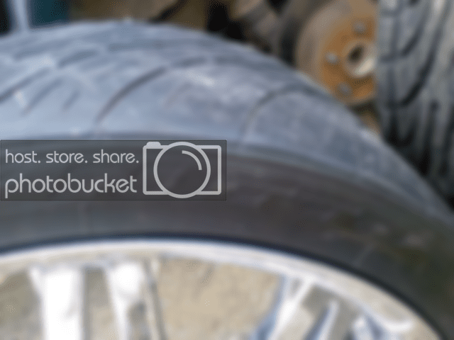 rim2.png