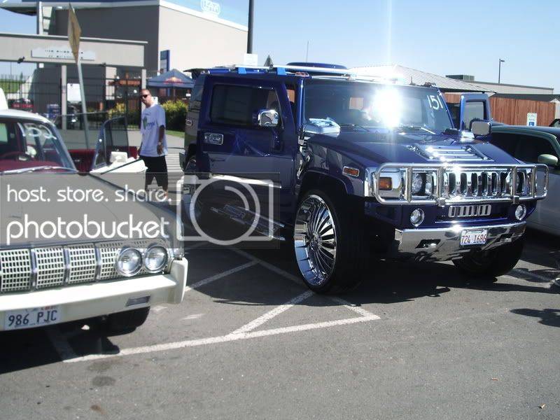 IMGP8332.jpg