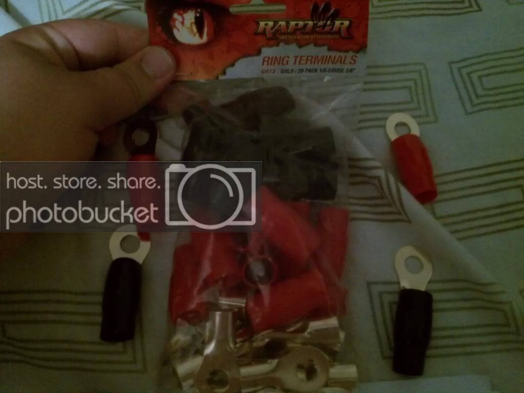 IMAG0438.jpg