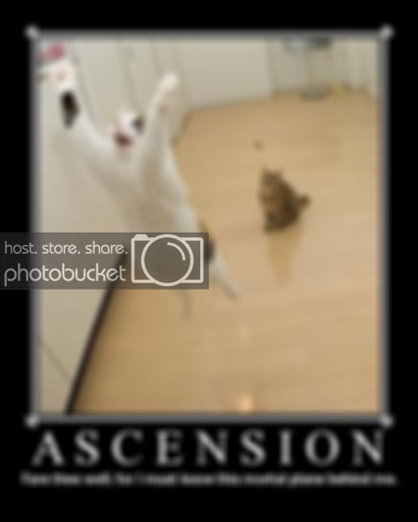 ascension.jpg