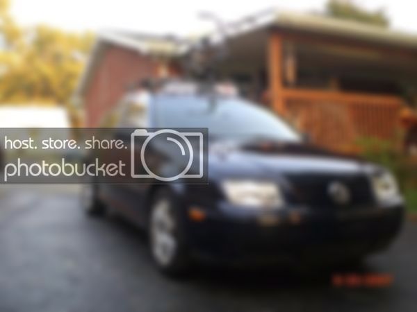jetta-2.jpg