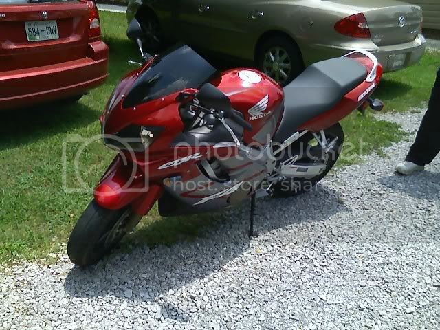 cbr600front.jpg