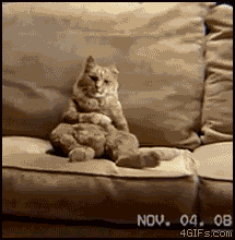 WalkingCat.gif
