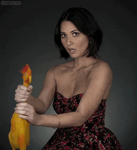 giphy.gif